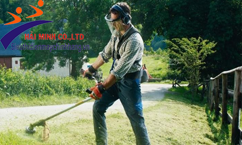 Công việc cắt cỏ diễn ra thường xuyên